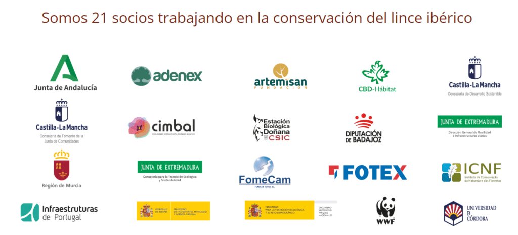 Socios colaboradores en el programa de conservación del lince ibérico
Fuente: https://lifelynxconnect.eu/