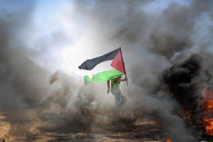 Hosnysalah Palestinian photographer https://pixabay.com/es/users/10285169/